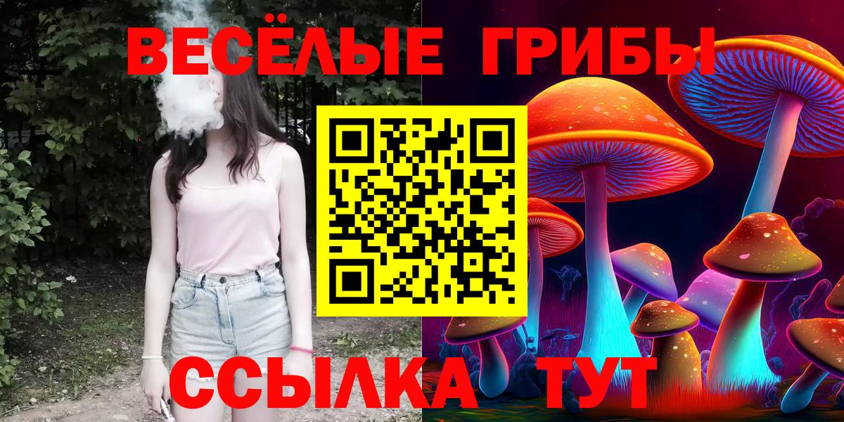 Галлюциногенные грибы прущие грибы Черкесск